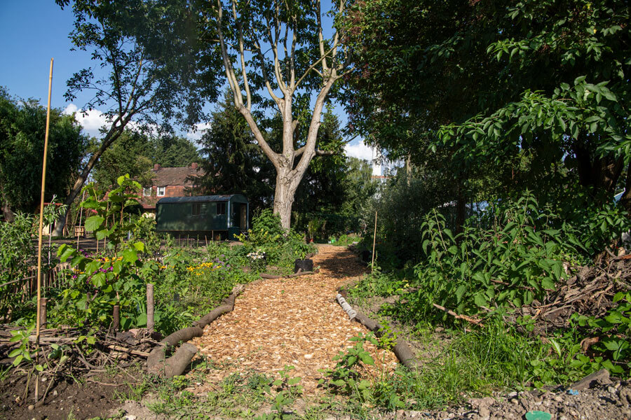 almend_rindenmulschweg